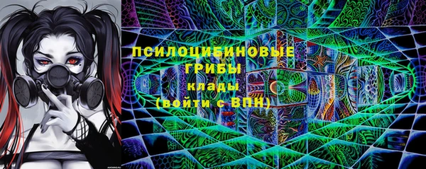 гидра Зеленодольск